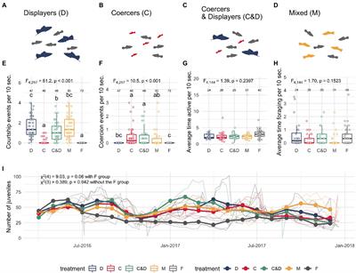 Complex sexual-social environments produce high boldness and low aggression behavioral syndromes